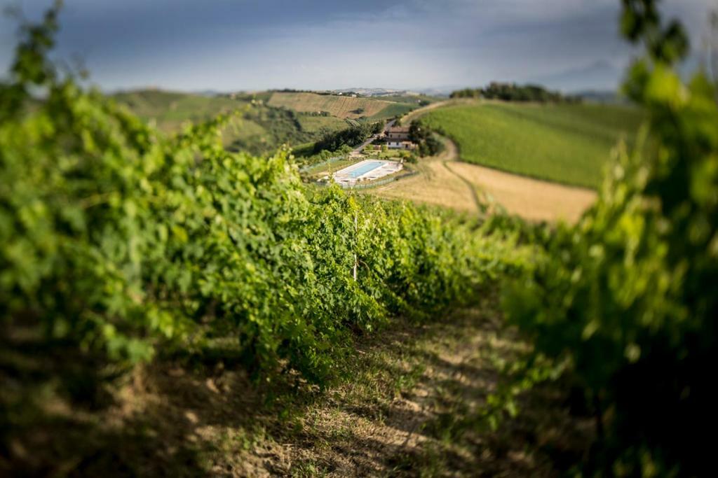Casali Costadoro Acquaviva Picena Exteriör bild