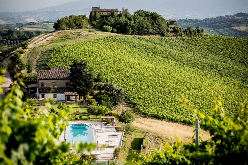 Casali Costadoro Acquaviva Picena Exteriör bild