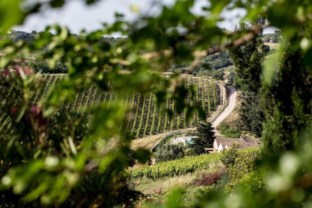 Casali Costadoro Acquaviva Picena Exteriör bild