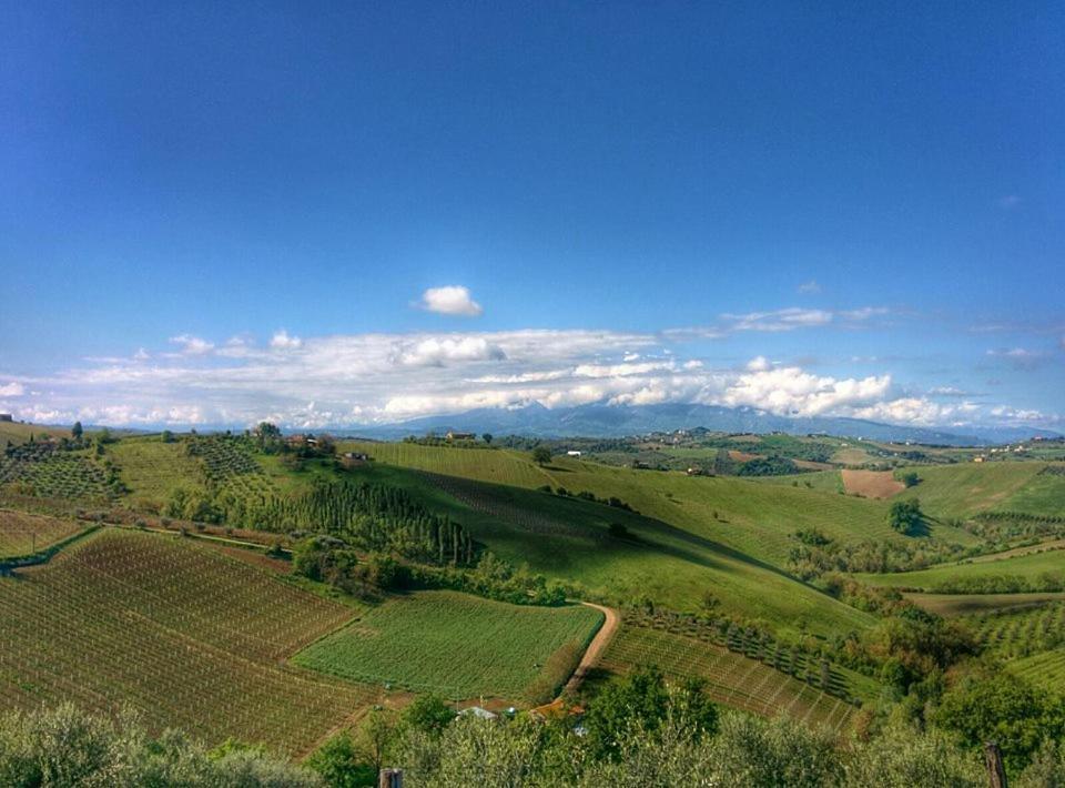 Casali Costadoro Acquaviva Picena Exteriör bild